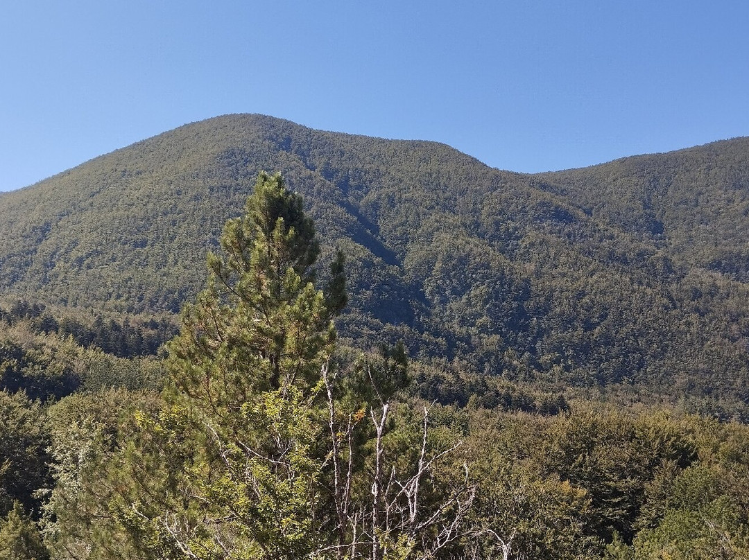 Sorgente dell'Arno-Stia必去景点