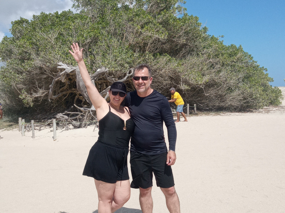 Top Turismo Jeri-杰里科科拉必去景点