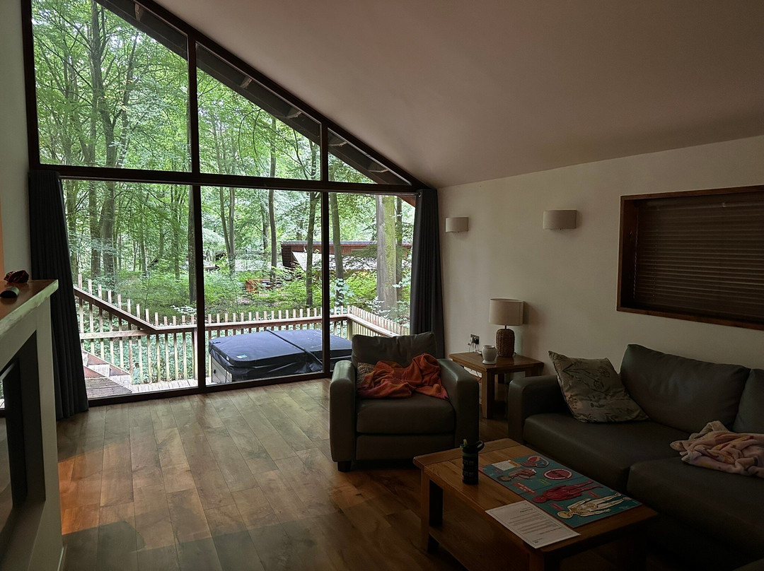 Blackwood Forest-温彻斯特必去景点