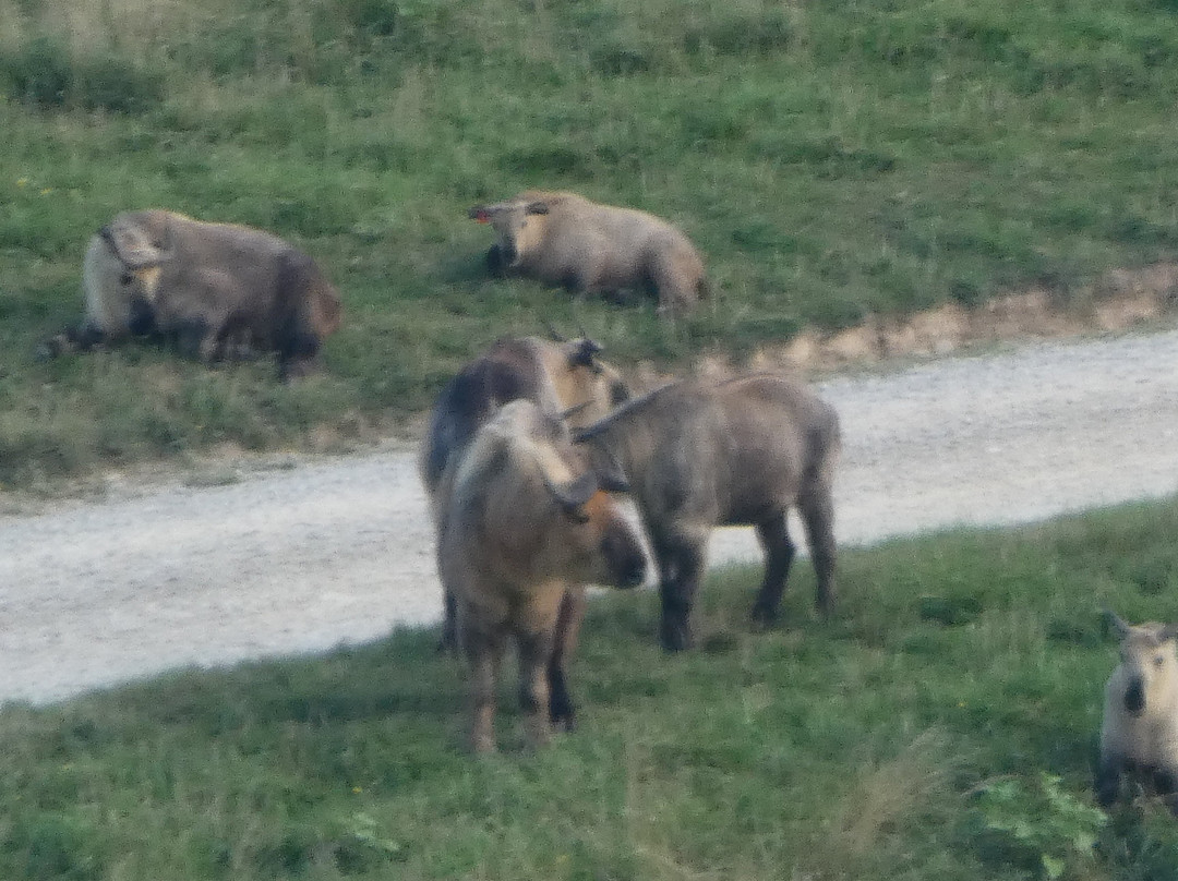 The Wilds-Cumberland必去景点