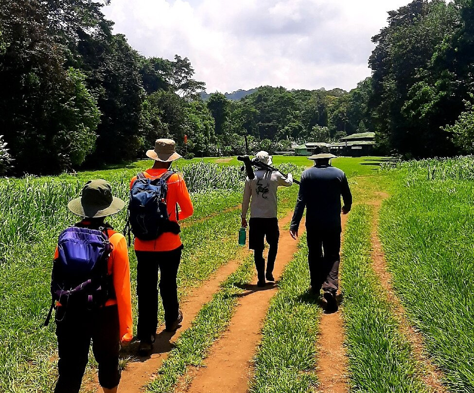 Osa Green Travel-希门尼斯港必去景点