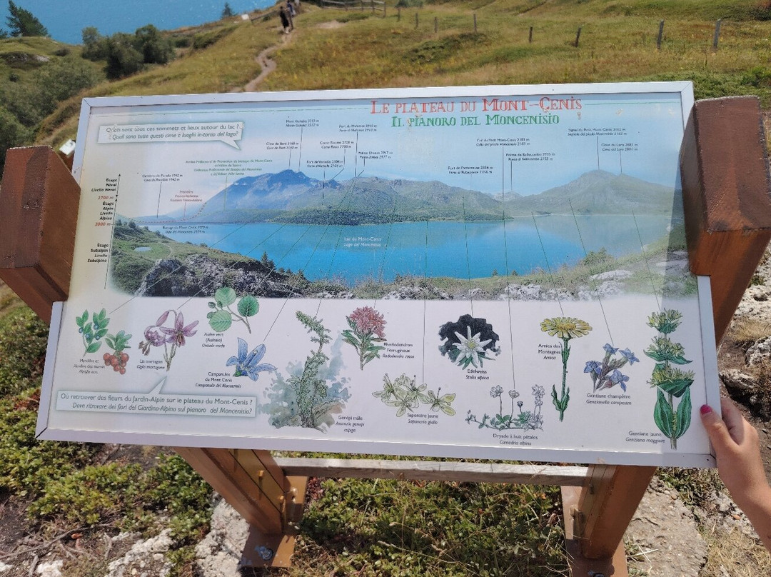 Jardin Alpin du Col du Mont Cenis