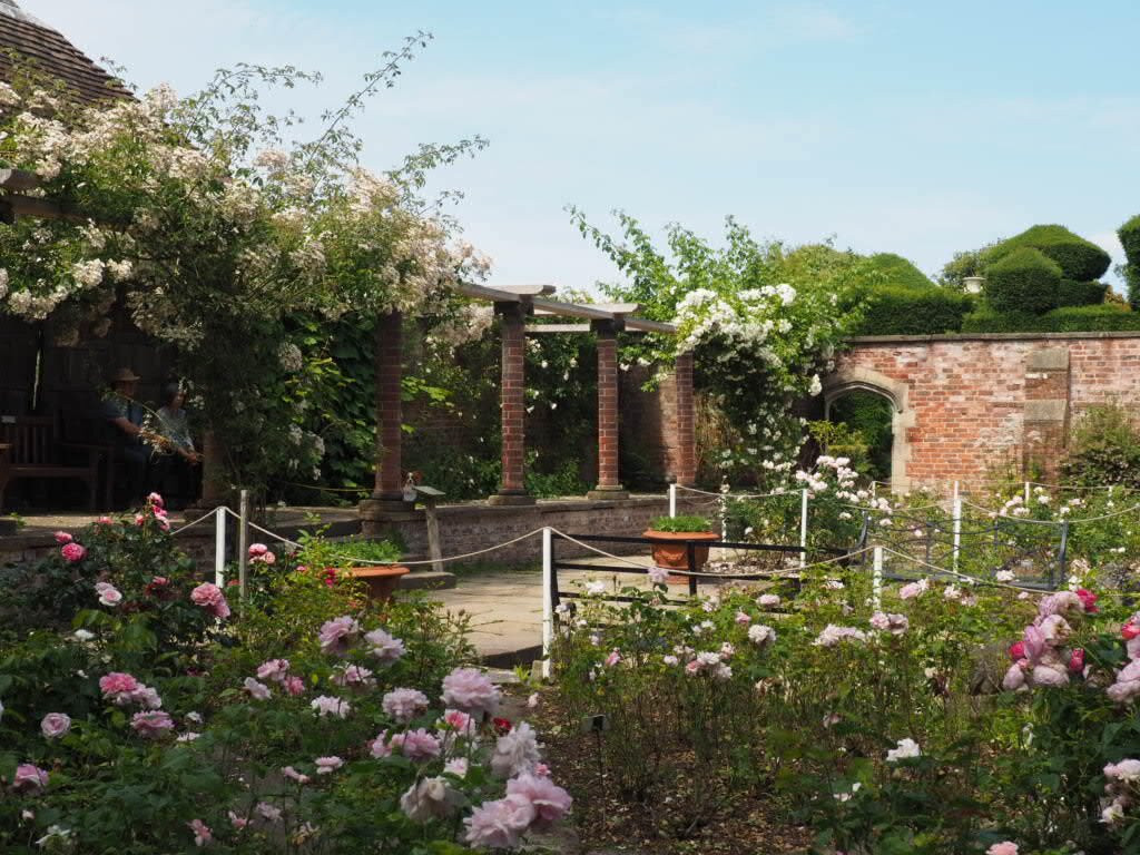 Tatton Park-纳茨福德必去景点