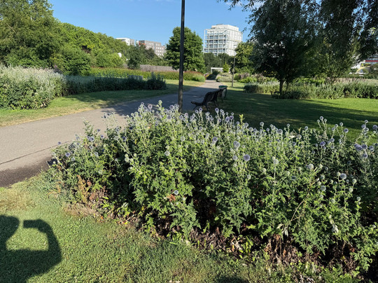 Le Jardin des Deux Rives-斯特拉斯堡必去景点