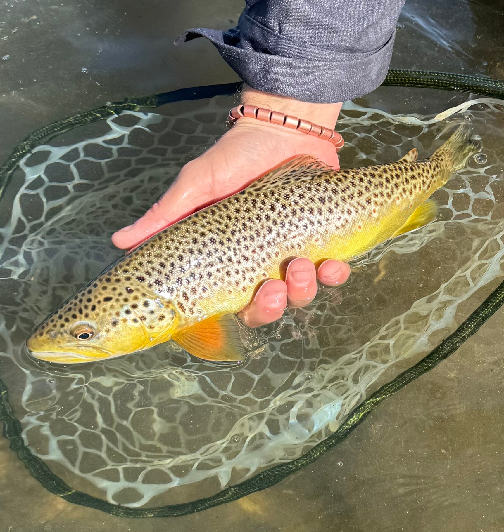 加勒廷河旅馆-官方