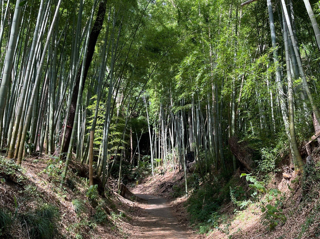 Takiyama Park, Takiyama Castle Remains-八王子市必去景点