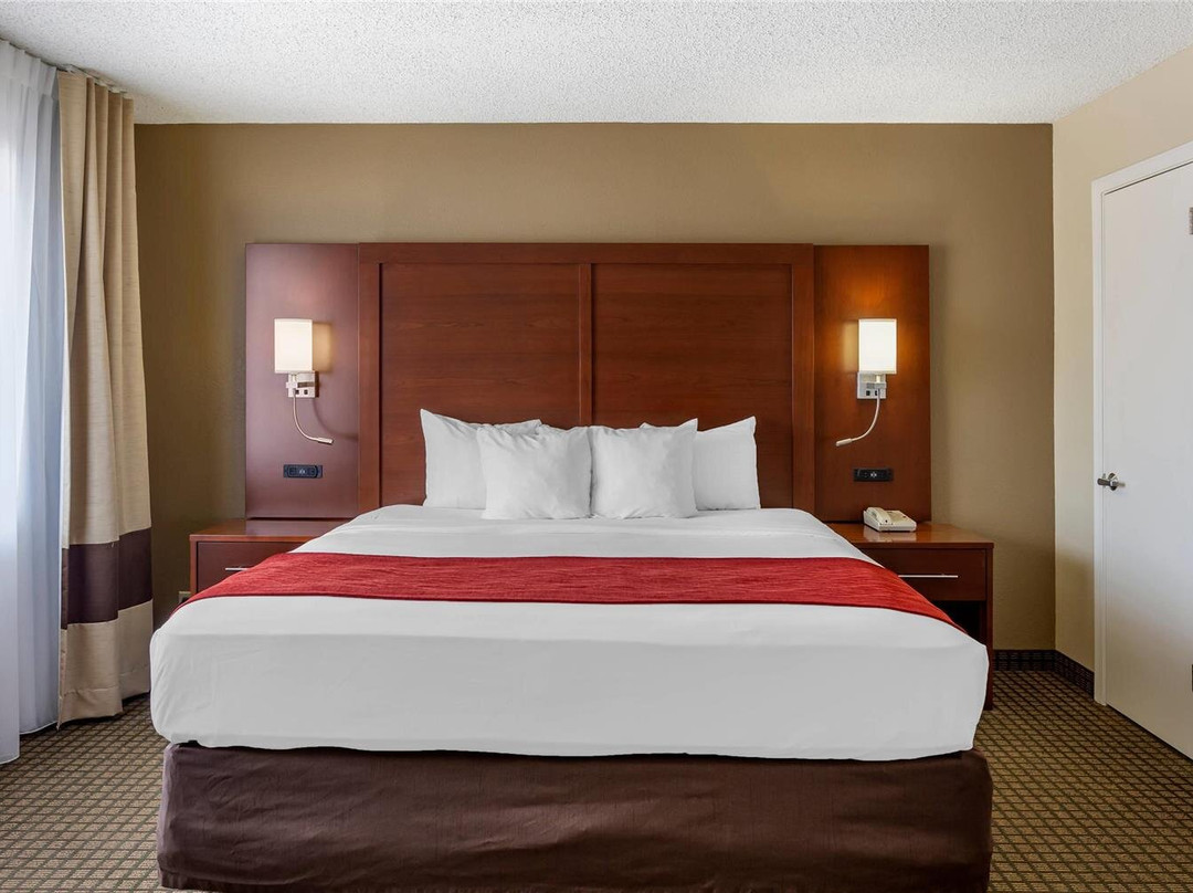 Comfort Inn & Suites主图