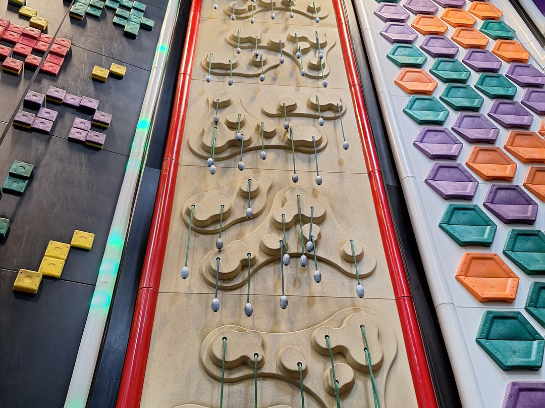 Clip 'n Climb Ipswich-伊普斯威奇必去景点