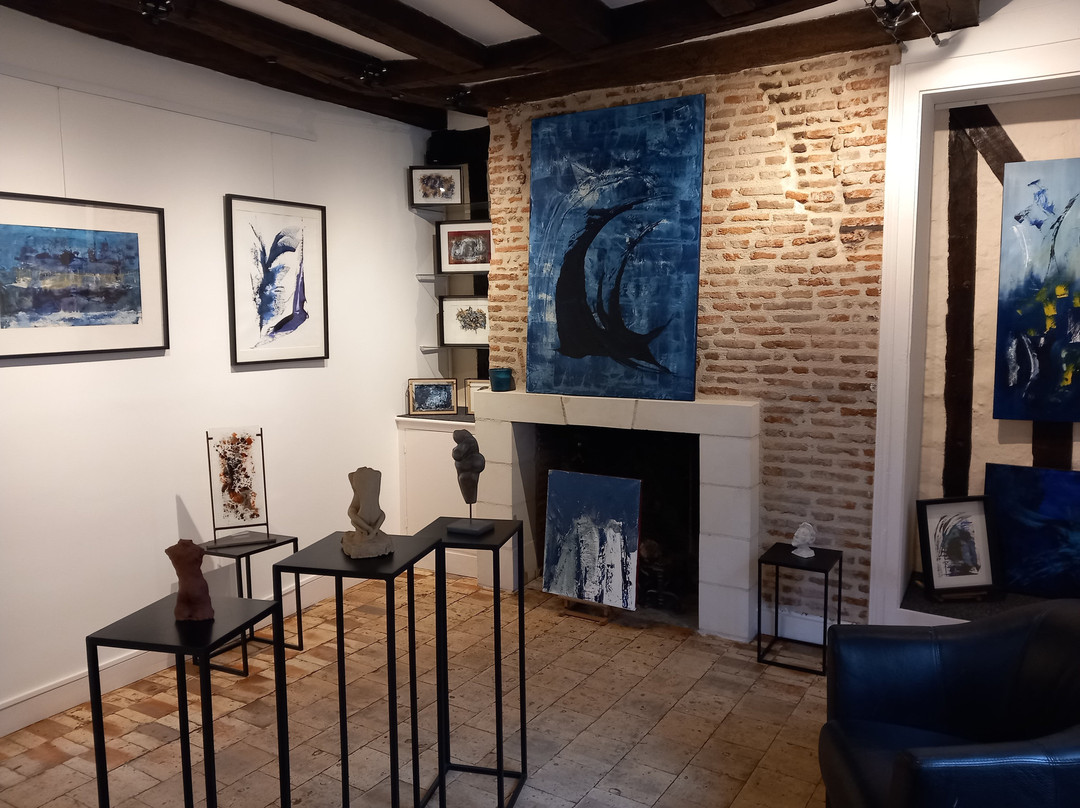 Galerie Victor Hugo-昂布瓦斯必去景点