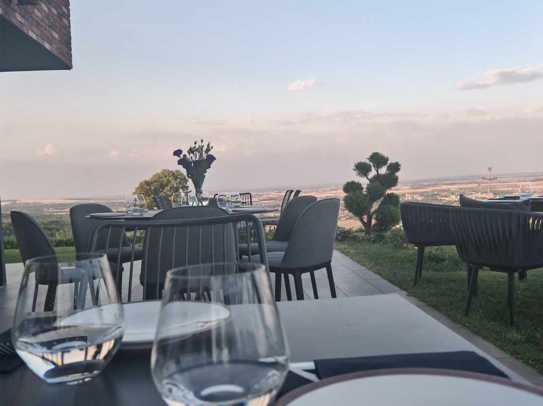 Matalj Winery-Negotin必去景点