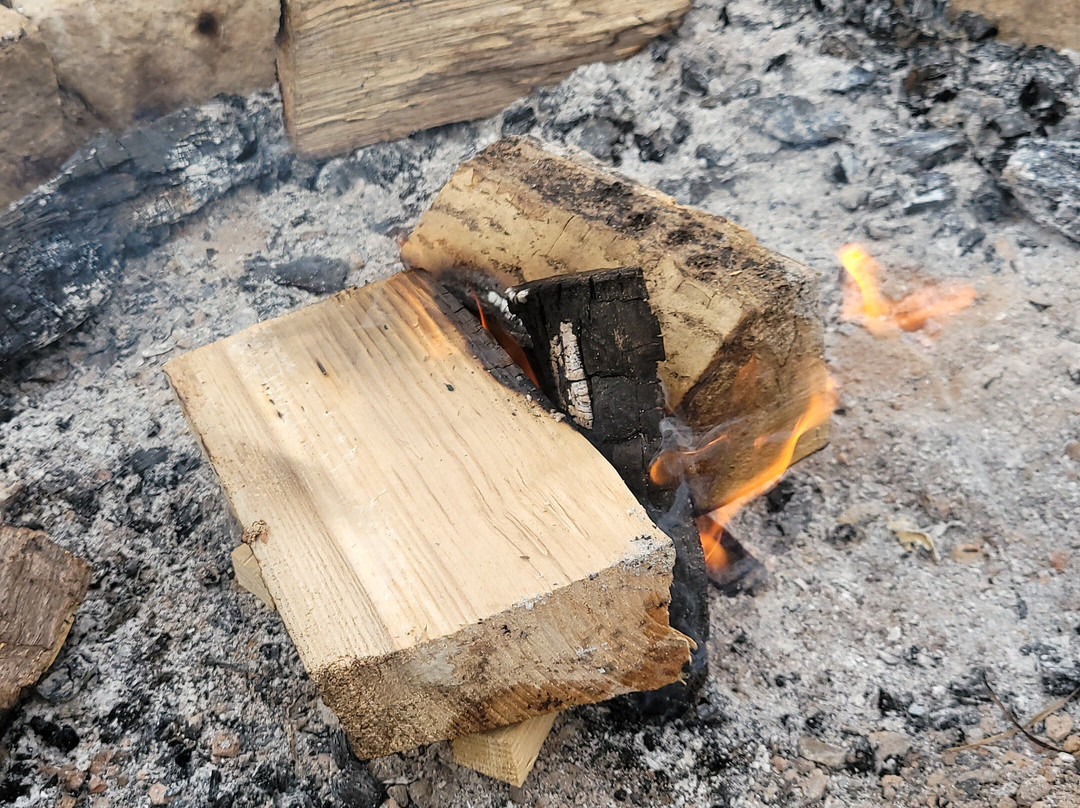 Glamping At Wallops Wood主图