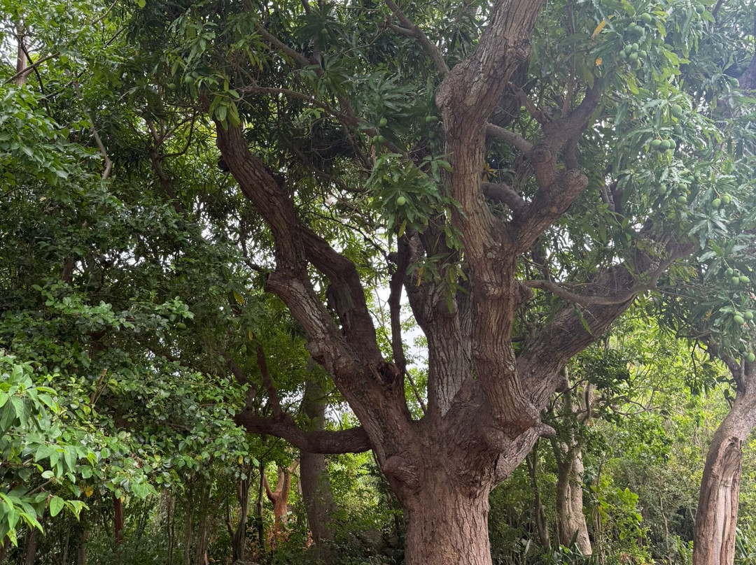 The Hillside: Eco Retreat-菲利普斯堡必去景点