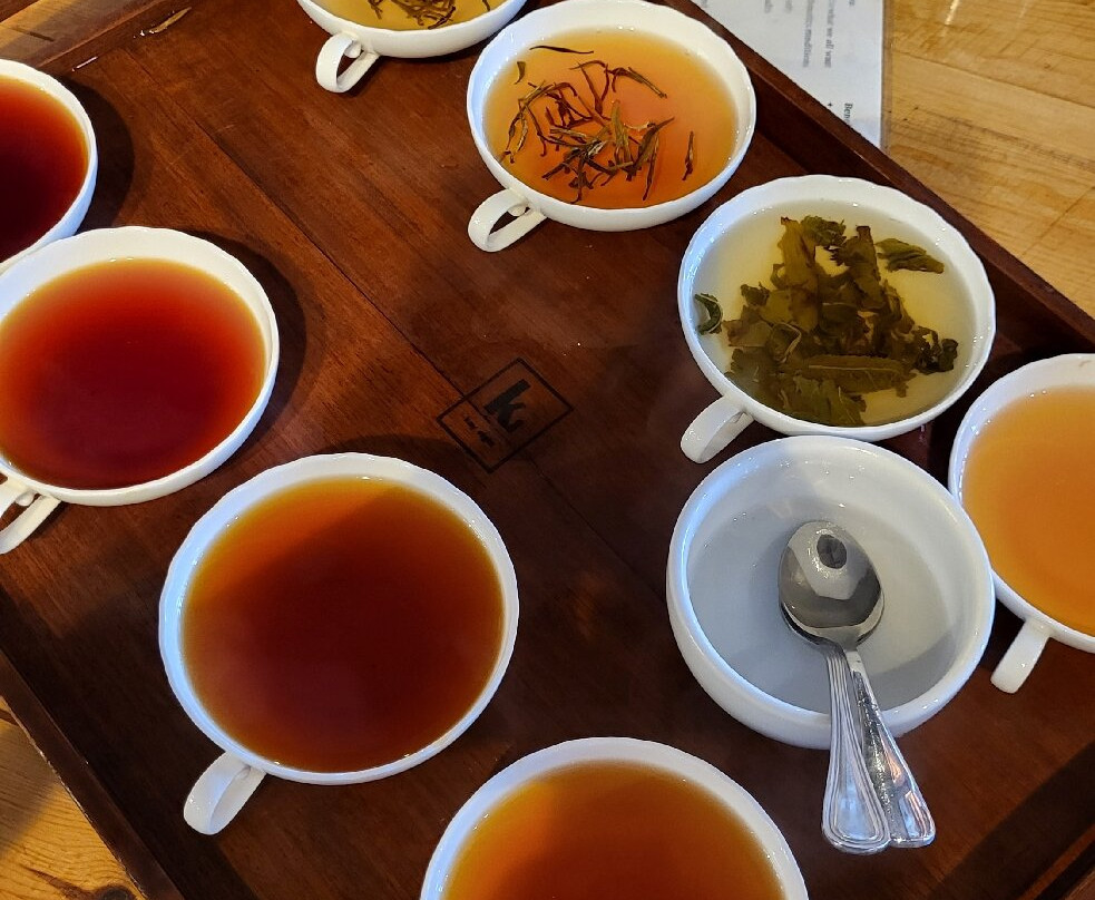 HOLIDAY WORLD TRAVEL SRI LANKA-Ragama必去景点