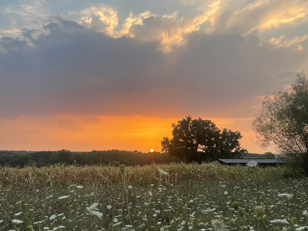 La Grange de Lucie主图