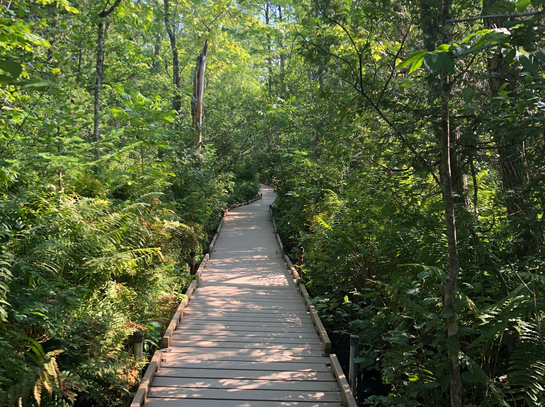 Orono Bog Boardwalk-班戈必去景点
