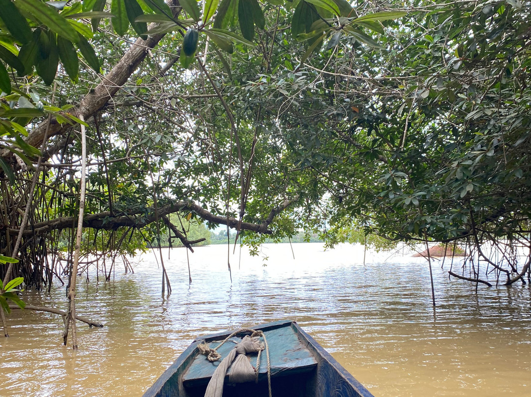 Belle Côte d'ivoire-阿比让必去景点