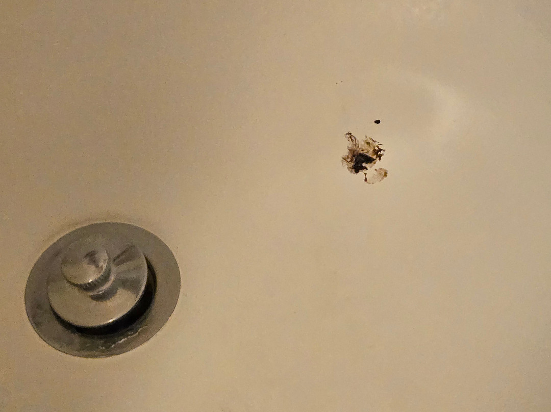 Residence Inn by Marriott Santa Fe主图