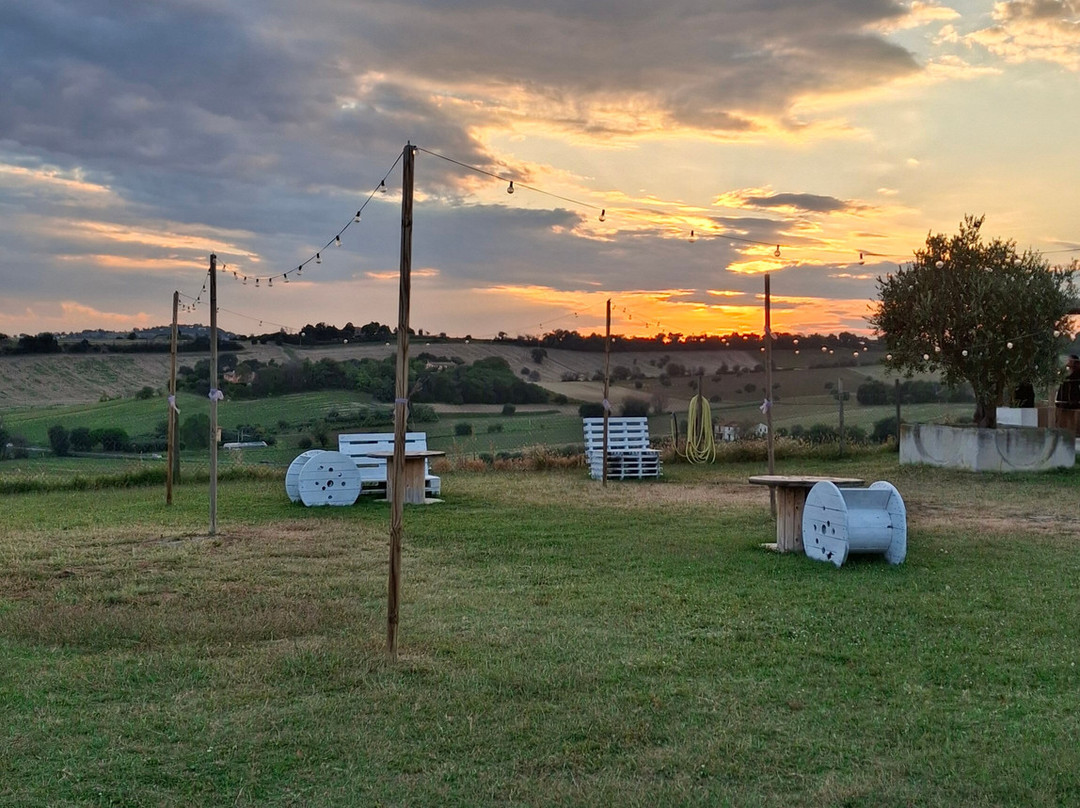 Conte Leopardi Wines-努马纳必去景点