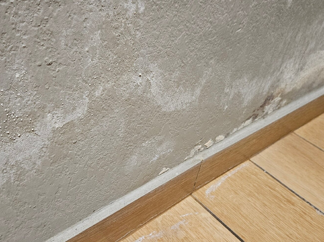 La Quinta Inn & Suites by Wyndham Detroit Metro Airport主图