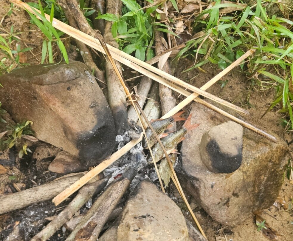 Banlung Jungle Trekking Tours-邦隆必去景点