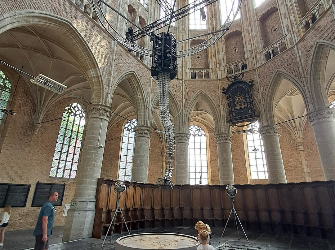 Grote Sint Laurenskerk-Alkmaar必去景点