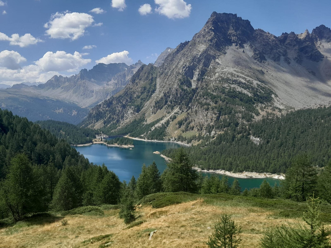 Parco Naturale Alpe Veglia Alpe Devero-Baceno必去景点