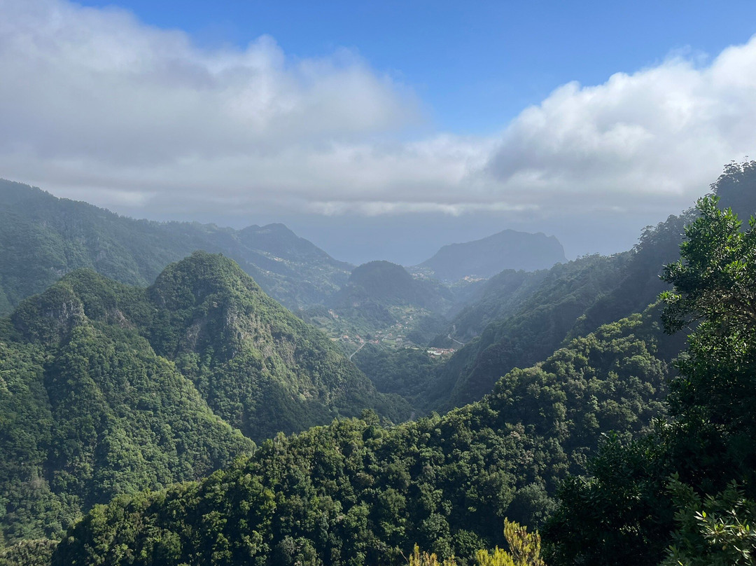 马德拉月桂树公园-马德拉群岛必去景点