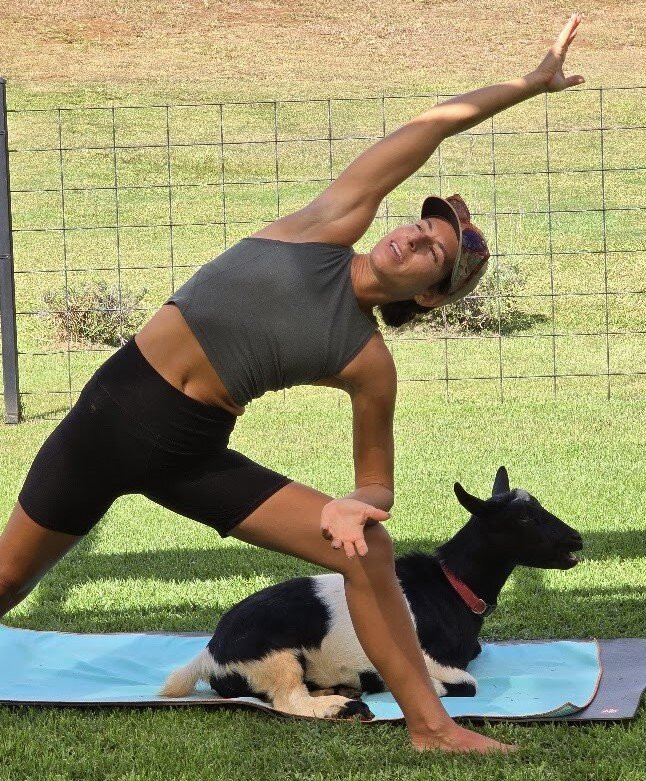 808 Goat Yoga-阿那荷拉必去景点