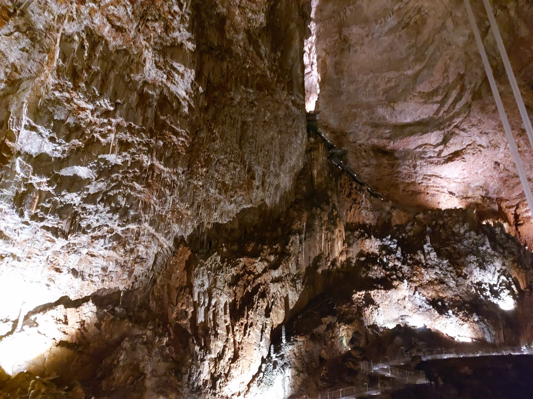 Grotta Gigante-Borgo Grotta Gigante必去景点