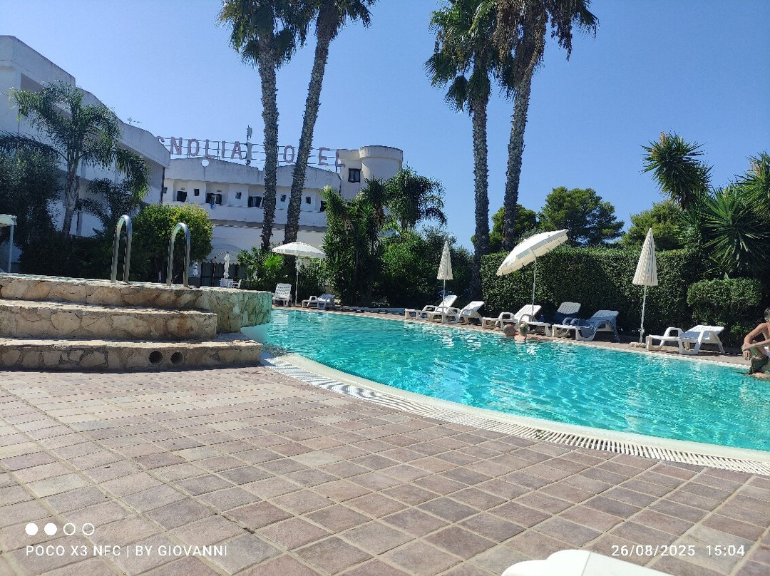 马戈诺莉亚酒店主图