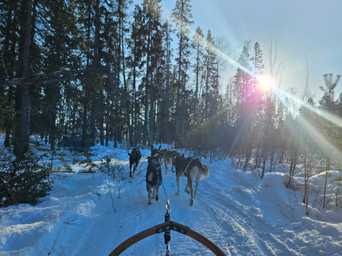 Discover Nordic Adventures-Jamton必去景点