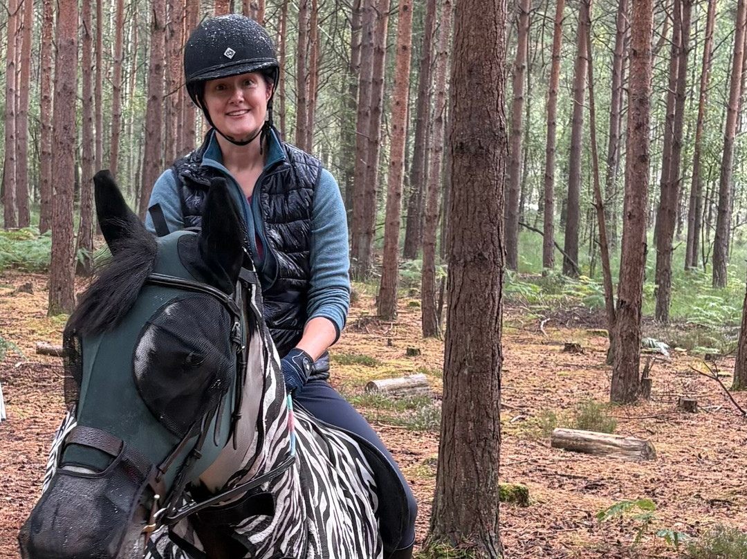 Eastmoors Forest Rides-St Leonards必去景点