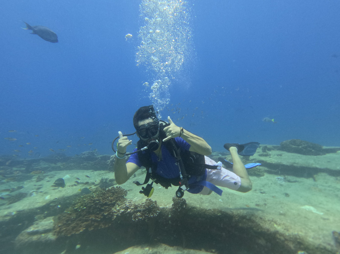 Cabo Pulmo Travel-Cabo Pulmo必去景点