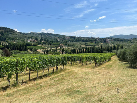 E-Bikes Florence-佛罗伦萨必去景点