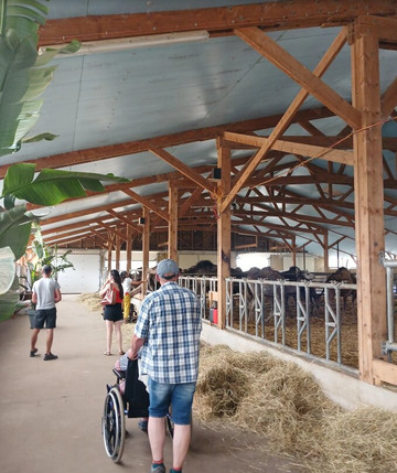 Dromazère-Auroux必去景点