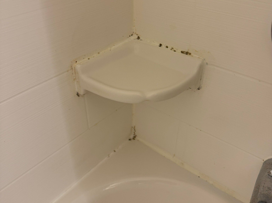 Holiday Inn Express & Suites Lancaster East - Strasburg By IHG主图