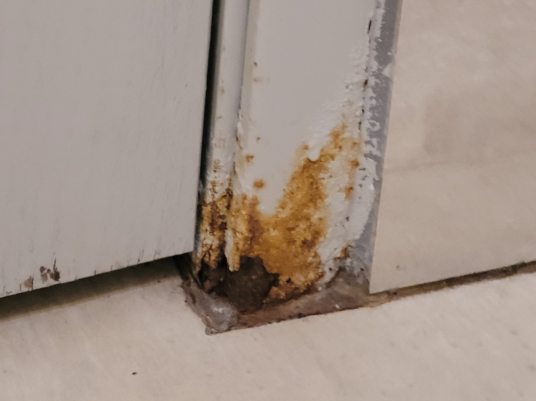 Holiday Inn Express & Suites Oshkosh-sr 41 By IHG主图