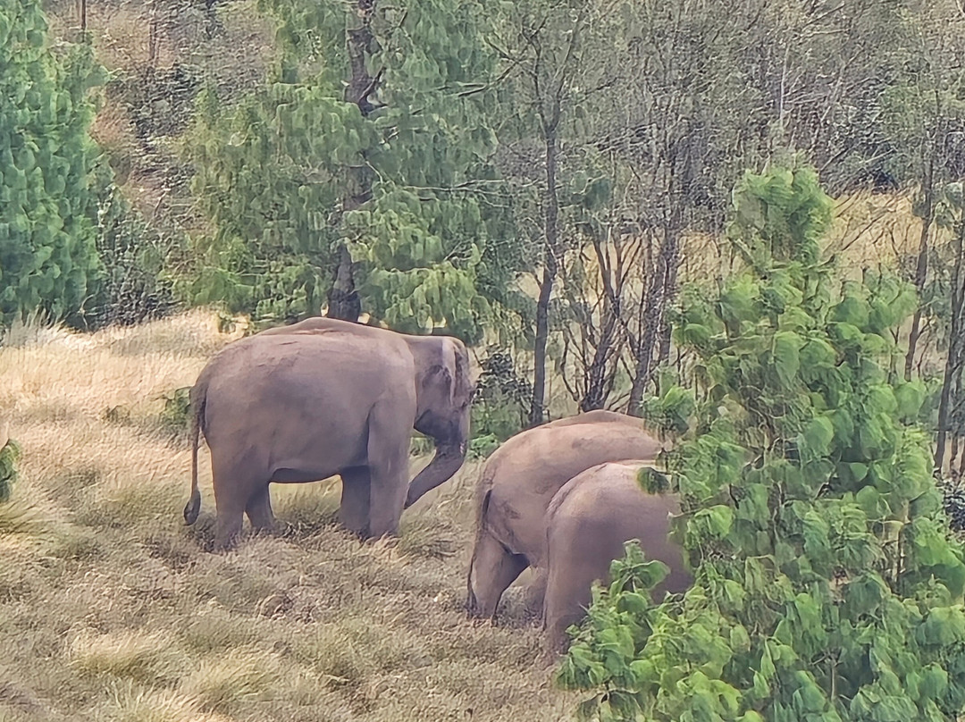 KFDC Ecotourism-慕那尔必去景点