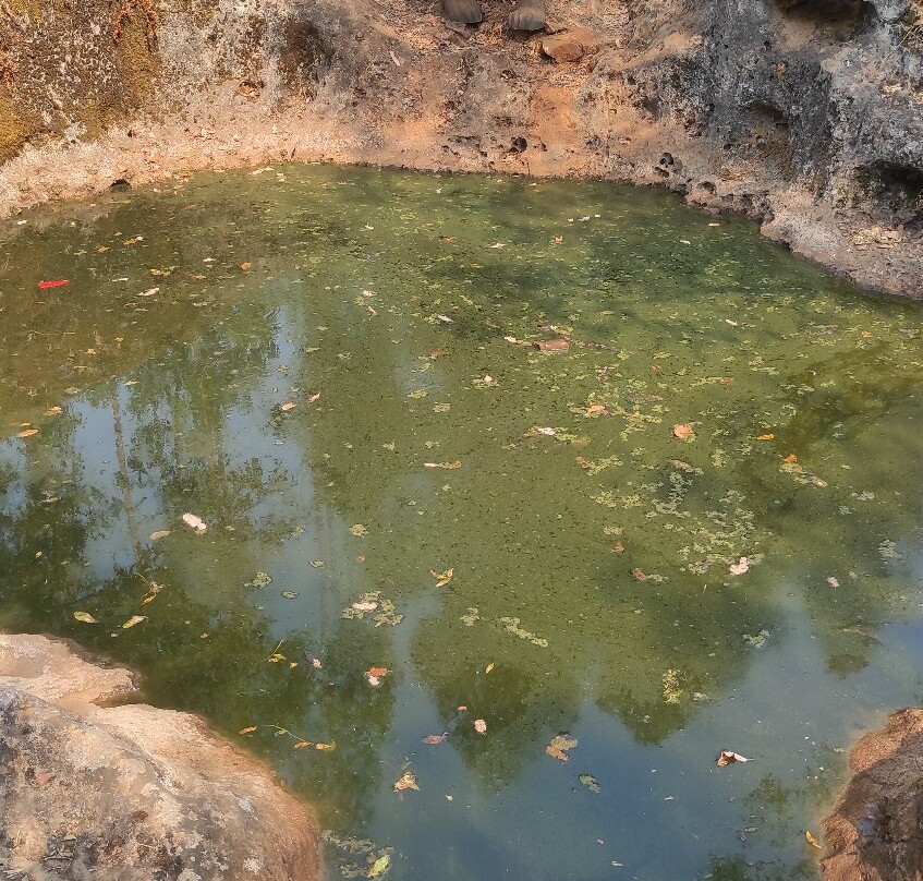 Ecoparque Sensorial da Pia do Urso-Batalha必去景点
