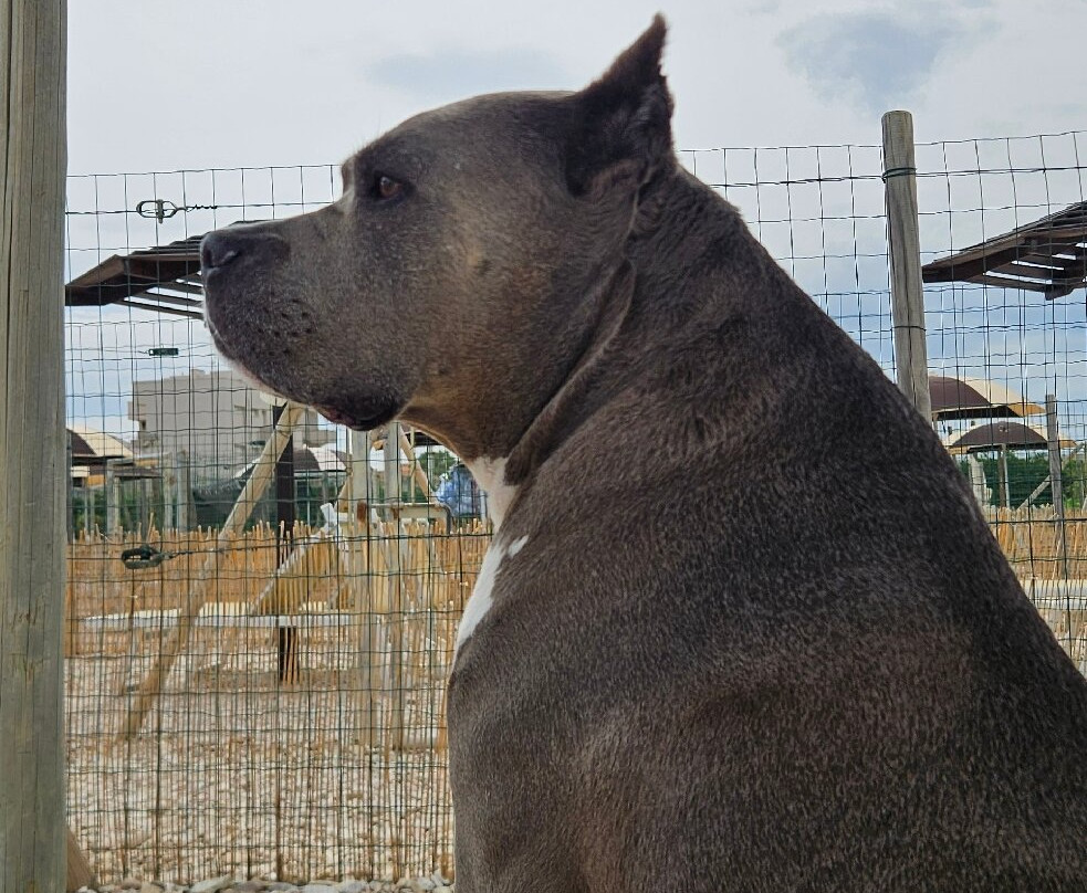 Baia Canaria-塞尼加利亚必去景点