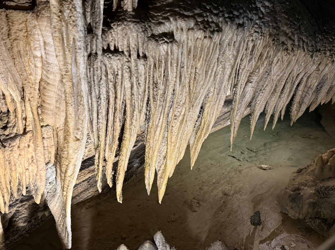 Grotta Antro del Corchia-Levigliani必去景点