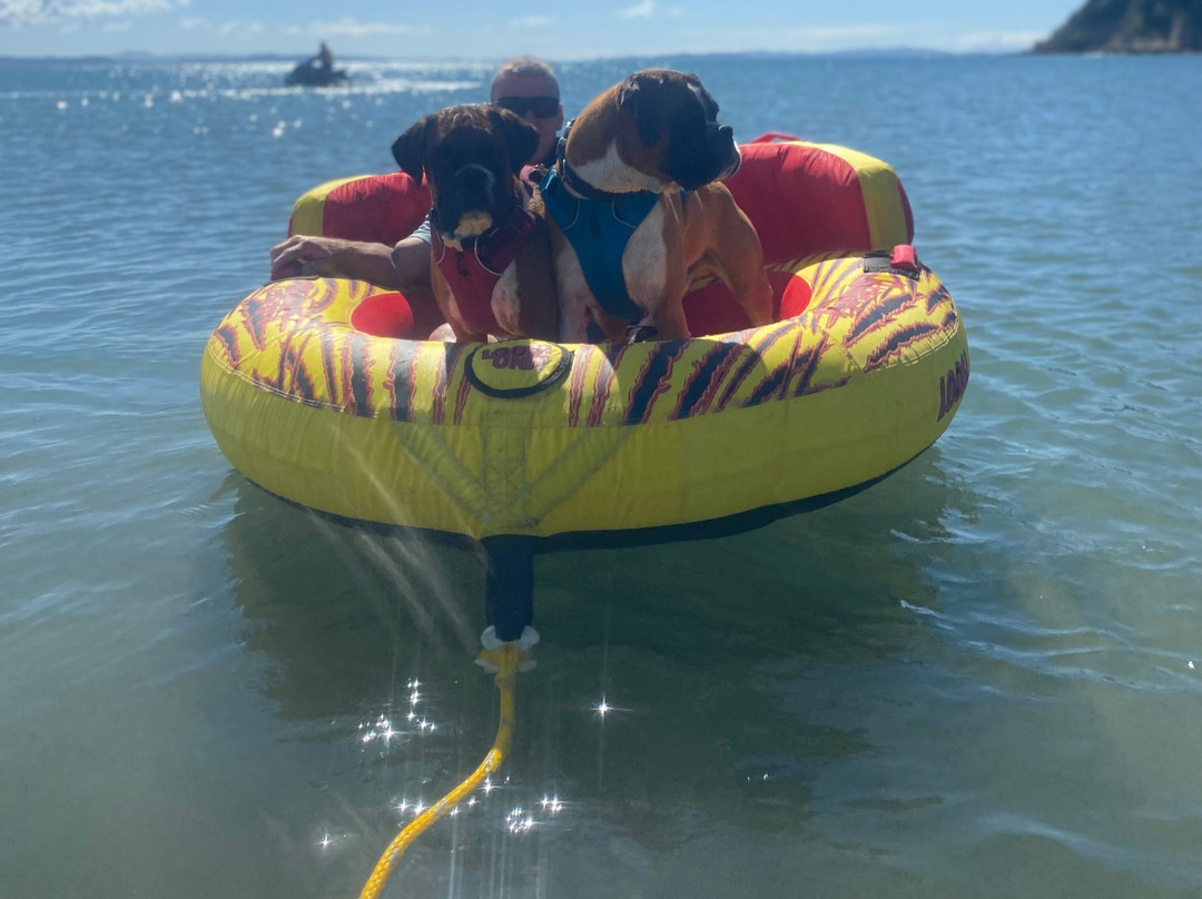 Hibiscus Jetski Hire-旺阿帕劳阿必去景点