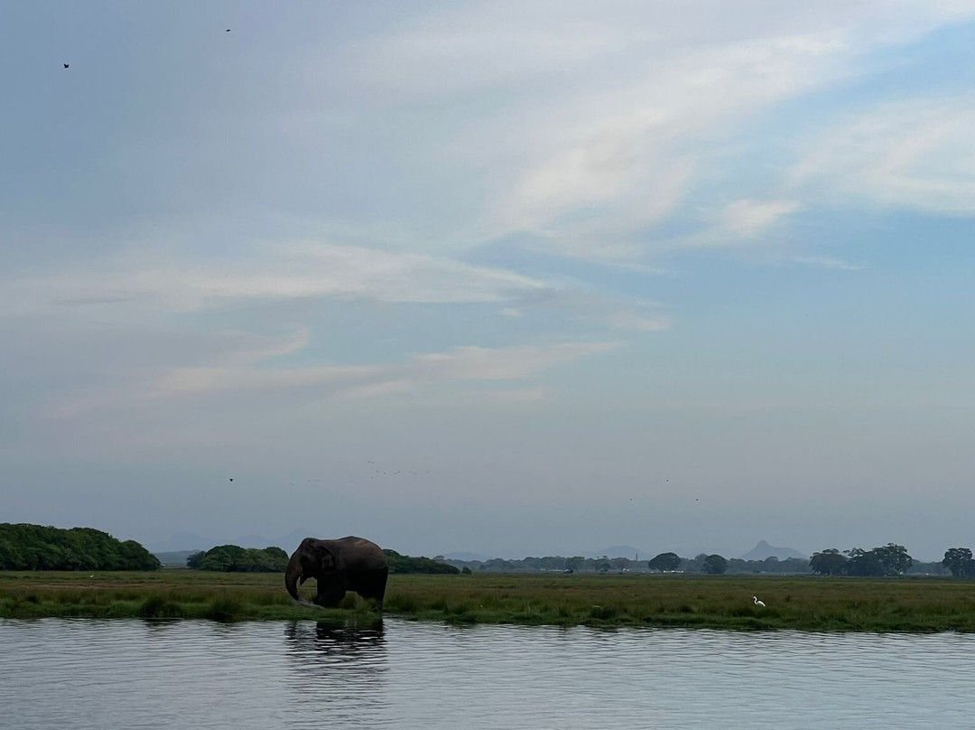 Arugam Bay Tours-阿鲁甘湾必去景点