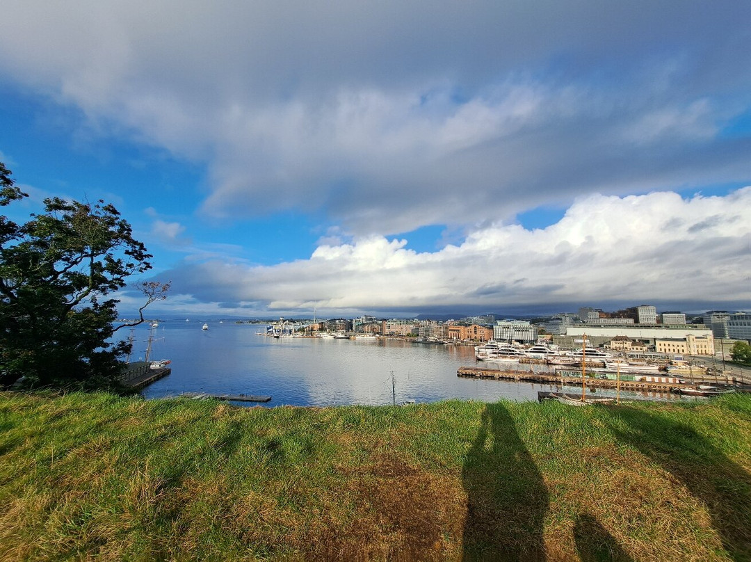 Oslo Running Tours-奥斯陆必去景点