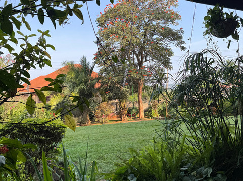 Surjio's Pizzeria & Guest House主图