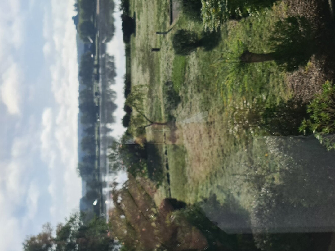 La Terrasse des Oliviers主图