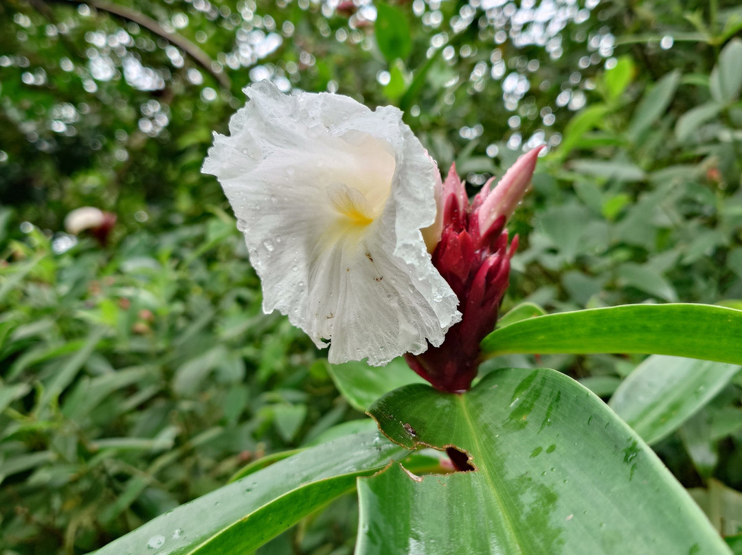 My Costa Rica-圣何塞必去景点