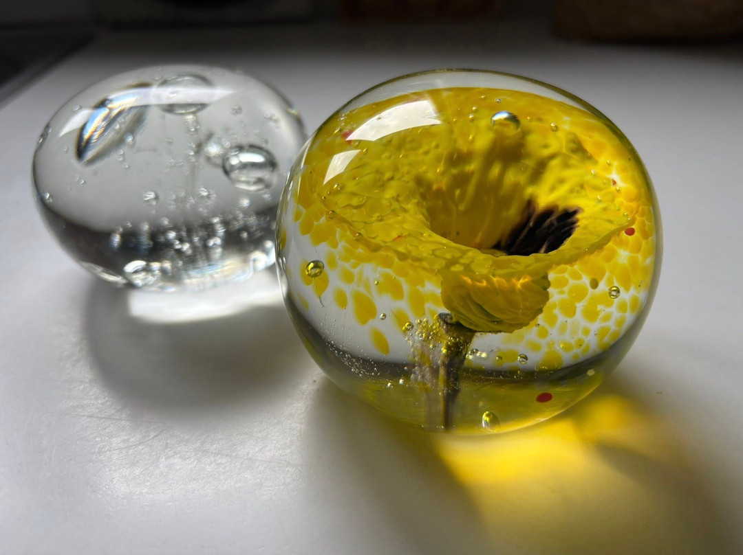 New Zealand Glassworks-旺加努伊必去景点