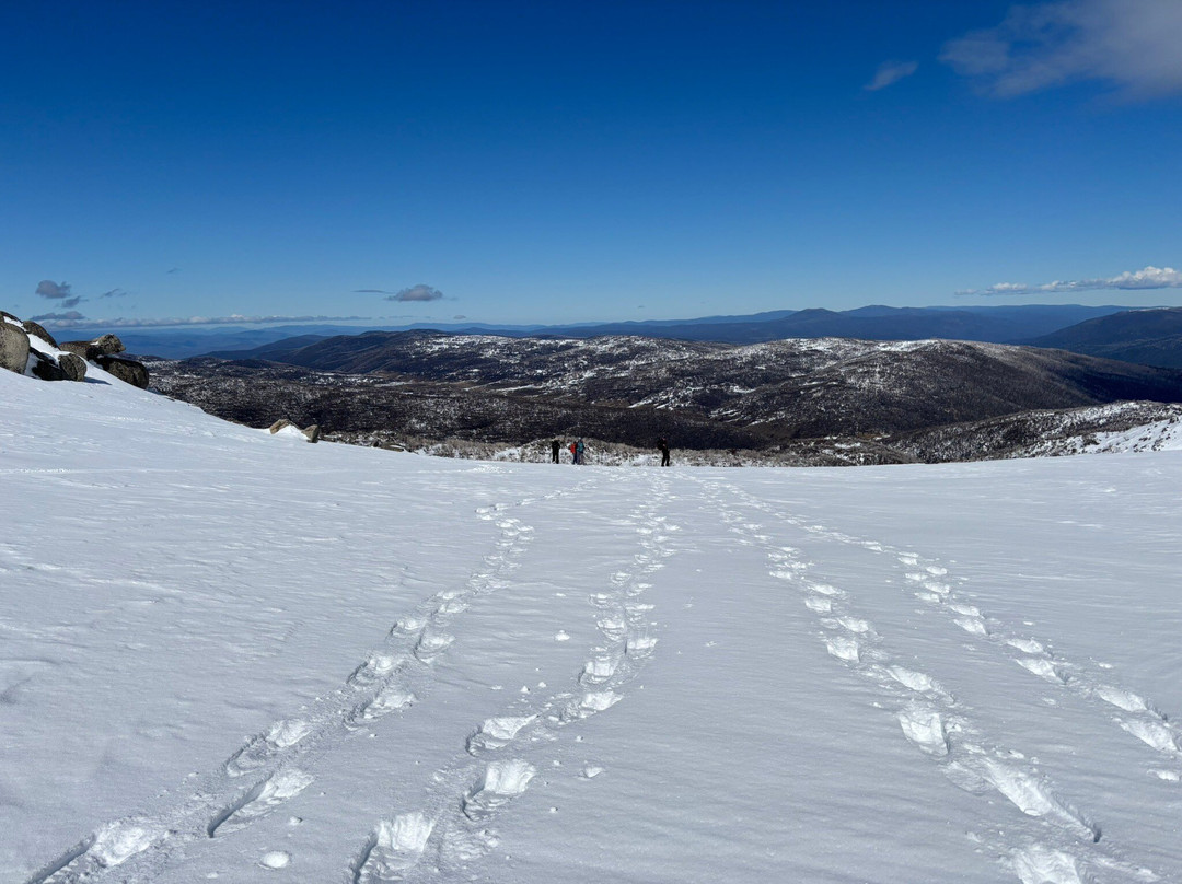 GirlsTrek-布里斯班必去景点