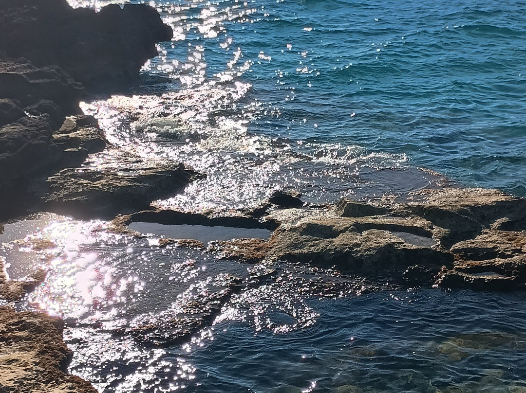 Blue Marlin Residence主图